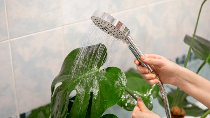 The Environmental Benefits of Using a Water‑Saving Shower Head