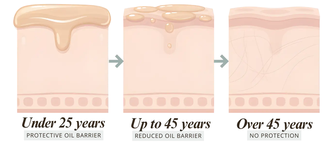 Skin surface oil barrier under 25, up to 45, and over 45