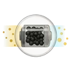 Icon 1